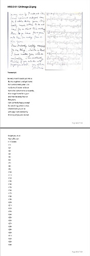 English with Burmese text confusion